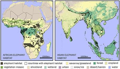 Human-Elephant Conflict: A Review of Current Management Strategies and Future Directions
